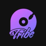 paradox tribe android application logo